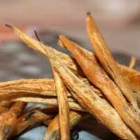 滇紅茶 云南滇紅大金針500克紅茶散裝 滇紅蜜香大金芽2022年春茶