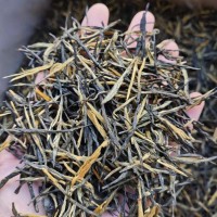 鳳慶滇紅古樹松針