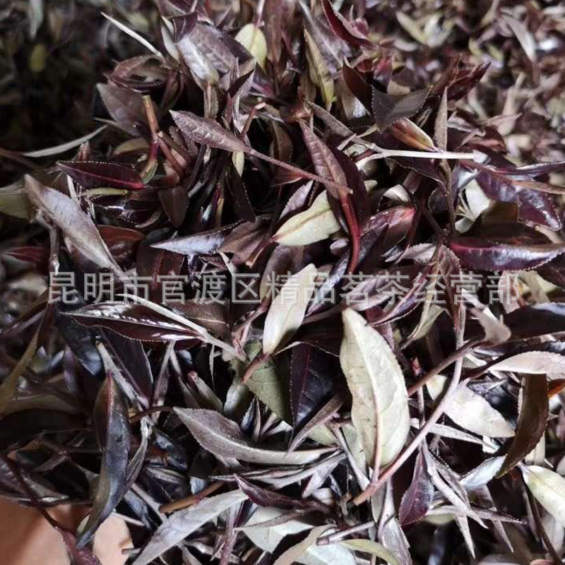 紫鵑理?xiàng)l (7).jpg