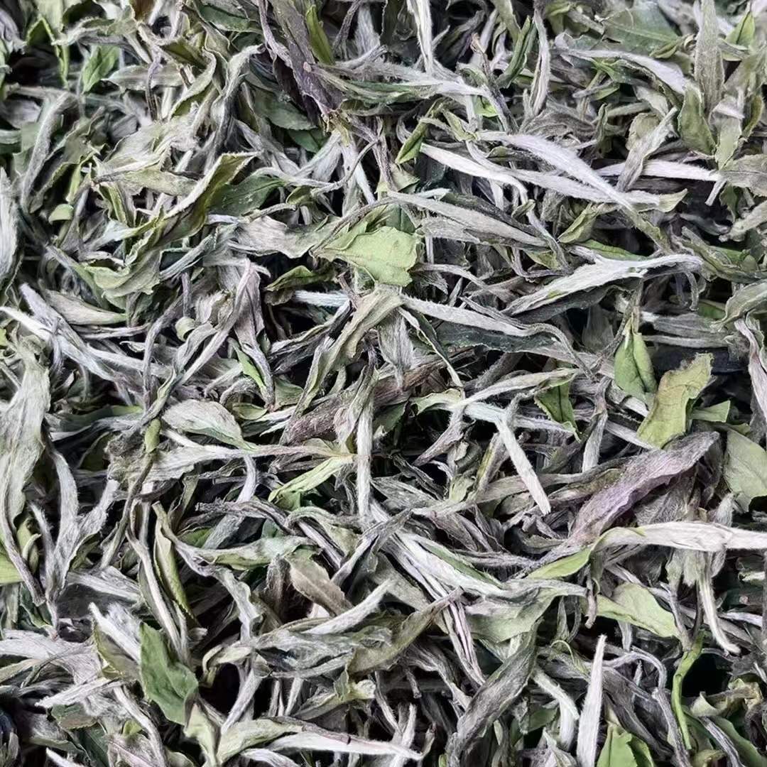 微信圖片_20220315101333