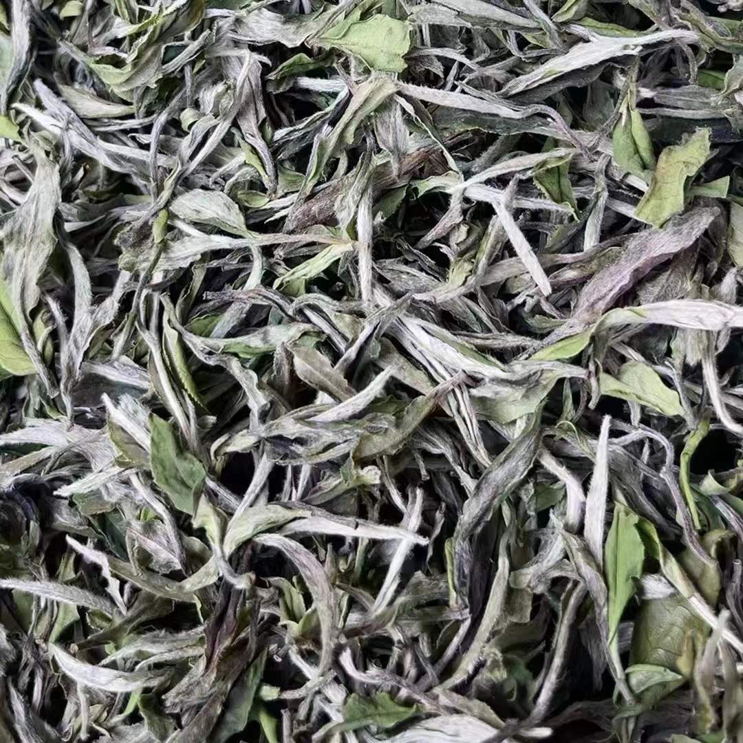 微信圖片_20220315101338