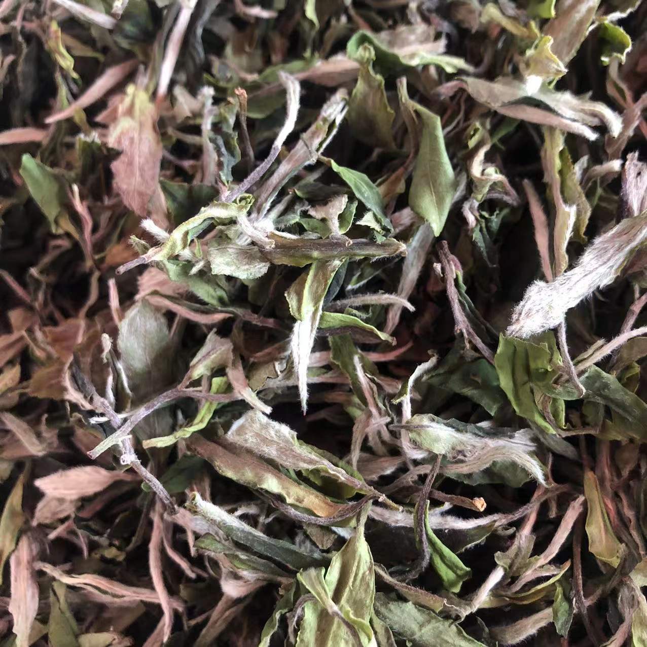 微信圖片_20220315101233