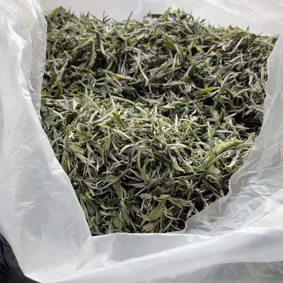 微信圖片_20220315101322