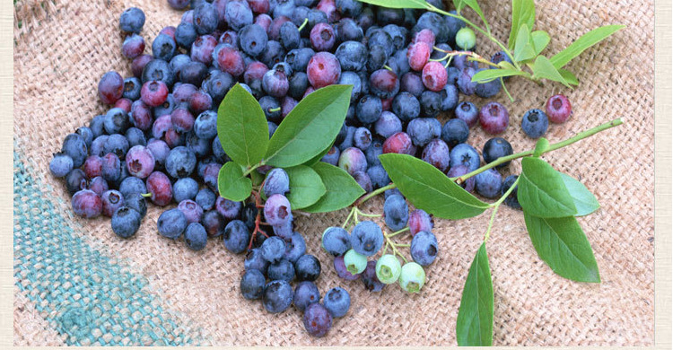 生產(chǎn)過程2