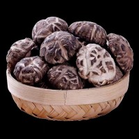 珠寶山村 香菇自產(chǎn)自銷原產(chǎn)地發(fā)貨