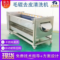現(xiàn)貨全自動土豆去皮機(jī) 食品廠馬蹄清洗機(jī) 商用紅薯清洗去皮機(jī)