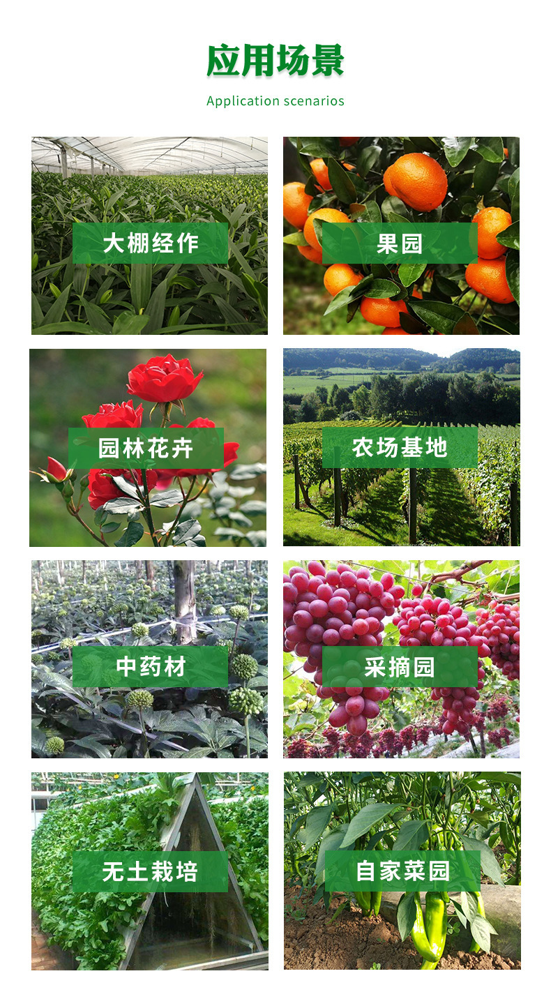 13351920094_1158391896