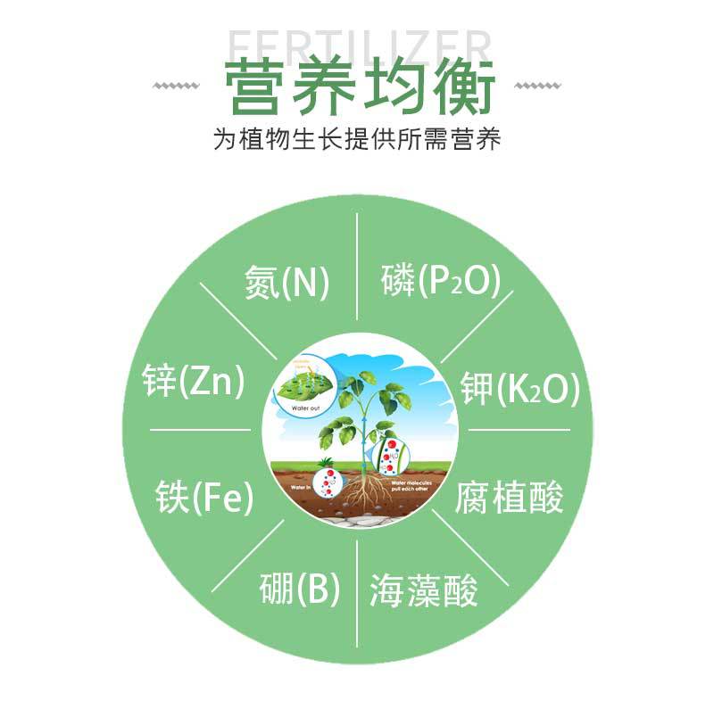 阿斯達-蕓豆豆角肥切片_03