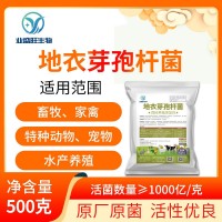 業(yè)盛旺1000億地衣芽孢桿菌飼料水產(chǎn)養(yǎng)殖添加劑改善腸胃吸收拉稀