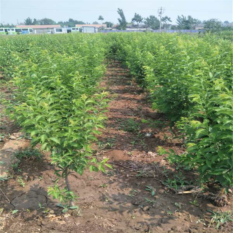 微信圖片_20170826101356