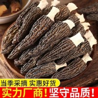 霸源 特產羊肚菌 非野生剪柄煲湯新鮮營養(yǎng)肉厚五沙菌菇類