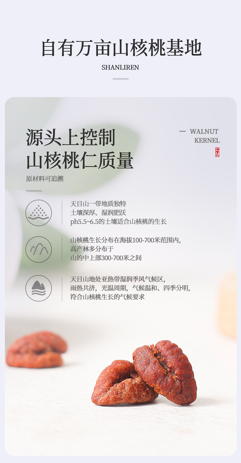 山核桃仁-詳情_03.jpg