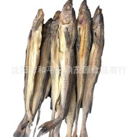 真味明太魚干40-42公分調(diào)味棒子魚燒烤店KTV手撕明太魚狹鱈魚干