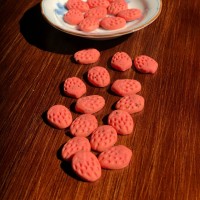 源頭廠家 兒童零食輔食草莓味酥性餅干磨牙棒