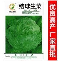 廠家批發(fā)菜園蔬菜種子 結(jié)球西生菜約2000粒 盆栽陽(yáng)臺(tái)院子種子菜籽