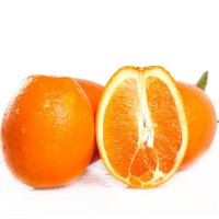 精品紐荷爾臍橙 原產地現(xiàn)摘現(xiàn)發(fā)橙子 水果 缺斤少兩包賠