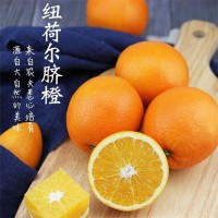 精品紐荷爾臍橙 現(xiàn)發(fā)當季水果基地 現(xiàn)采現(xiàn)發(fā) 澄紅柑橘