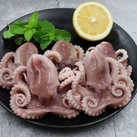 小章魚新鮮八爪魚活凍章魚產地廠家批發(fā)去內臟麻辣八爪魚500克裝