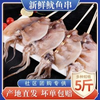 社區(qū)團購專供新鮮魷魚串冷凍水產(chǎn)大魷魚鮮活深海海鮮火鍋食材商用