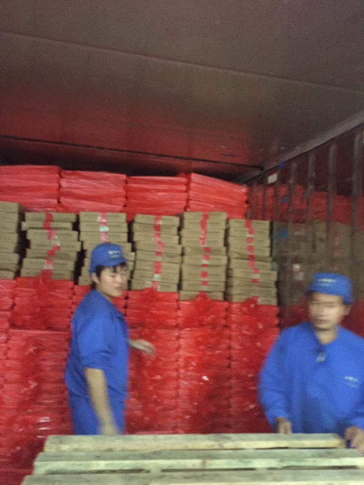 野生東海蝦 船凍