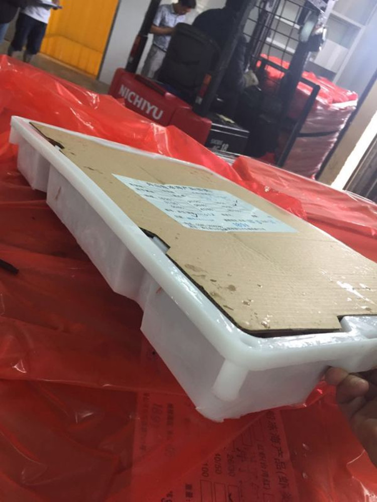 野生東海蝦 船凍