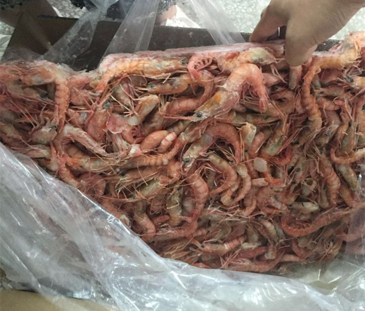 野生東海蝦 船凍