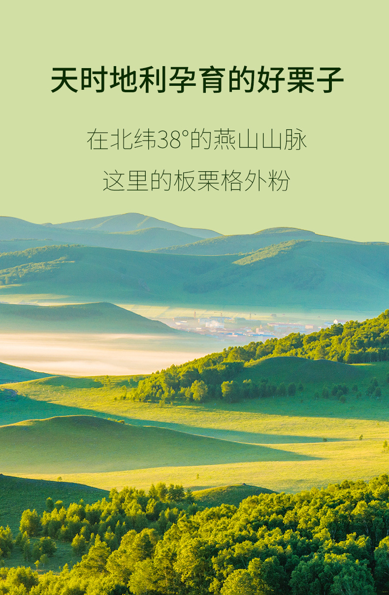 板栗仁詳情頁80原味_07