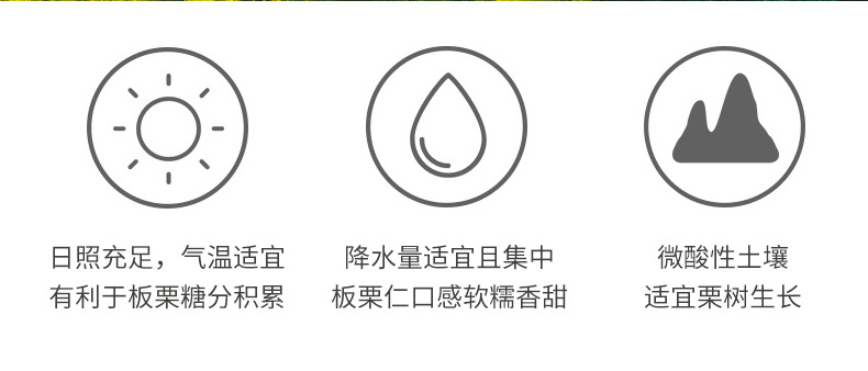 板栗仁詳情頁80原味_08