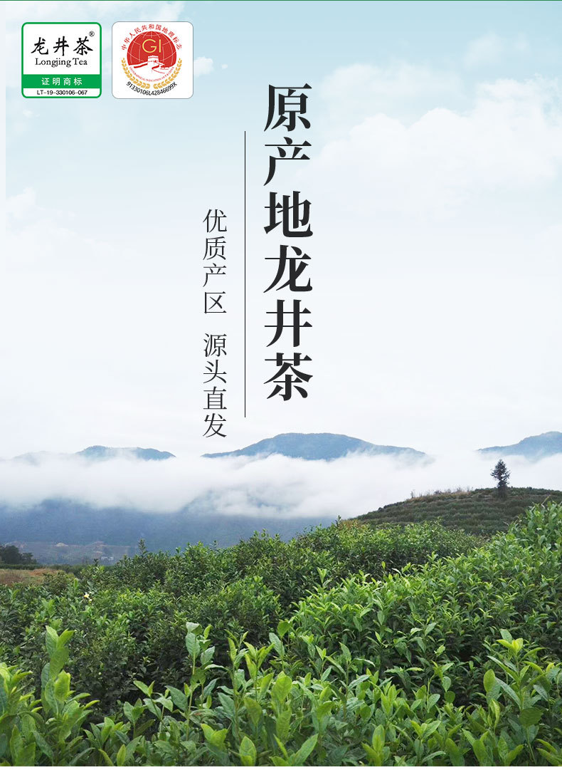 龍井茶模版(1)_02