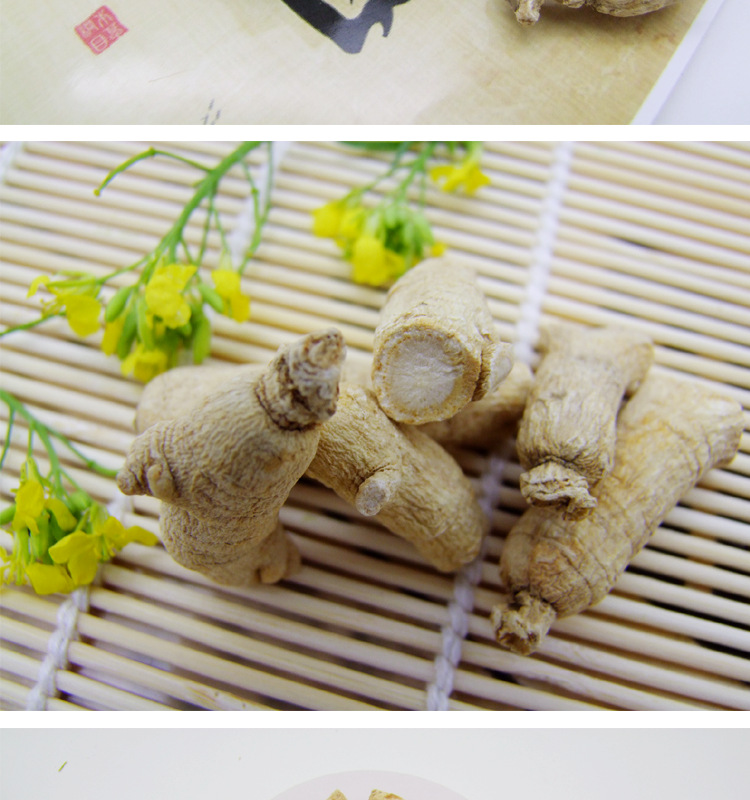 西洋參段設(shè)計(jì)圖_03