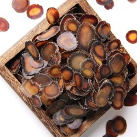 鹿茸片 吉林鹿鄉(xiāng)鹿茸臘片煲湯泡酒鹿茸全臘片鹿場直售整支鹿茸