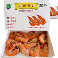 鹽田香蝦鹽田熟蝦南美白對(duì)蝦海蝦對(duì)蝦大蝦鹽田大蝦白灼蝦