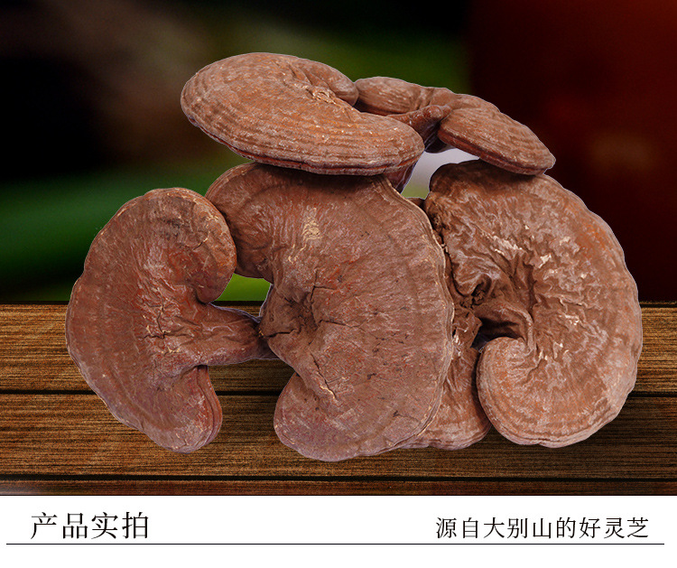 帶粉赤靈芝詳情--_15