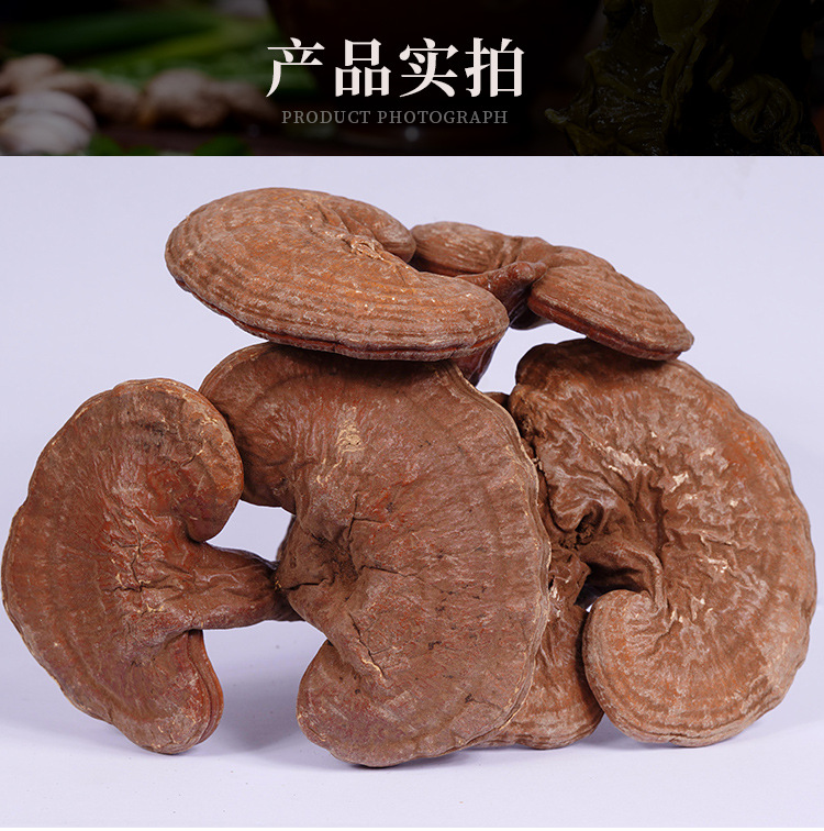 帶粉赤靈芝詳情--_19