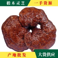 批發(fā)代發(fā)干靈芝大別山基地直供椴木靈芝片蒸赤靈芝中藥材規(guī)格齊全