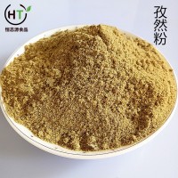 供應(yīng)孜然粉 燒烤調(diào)味料 香辛料批發(fā)