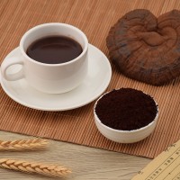 健滋道有機(jī)靈芝孢子粉大量批發(fā)一件代發(fā)冠縣靈芝直播同款團(tuán)購爆款