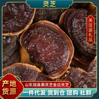 山東 聊城黑靈芝 產(chǎn)地直供 規(guī)格多樣 金邊靈芝 直播同款 黑靈芝