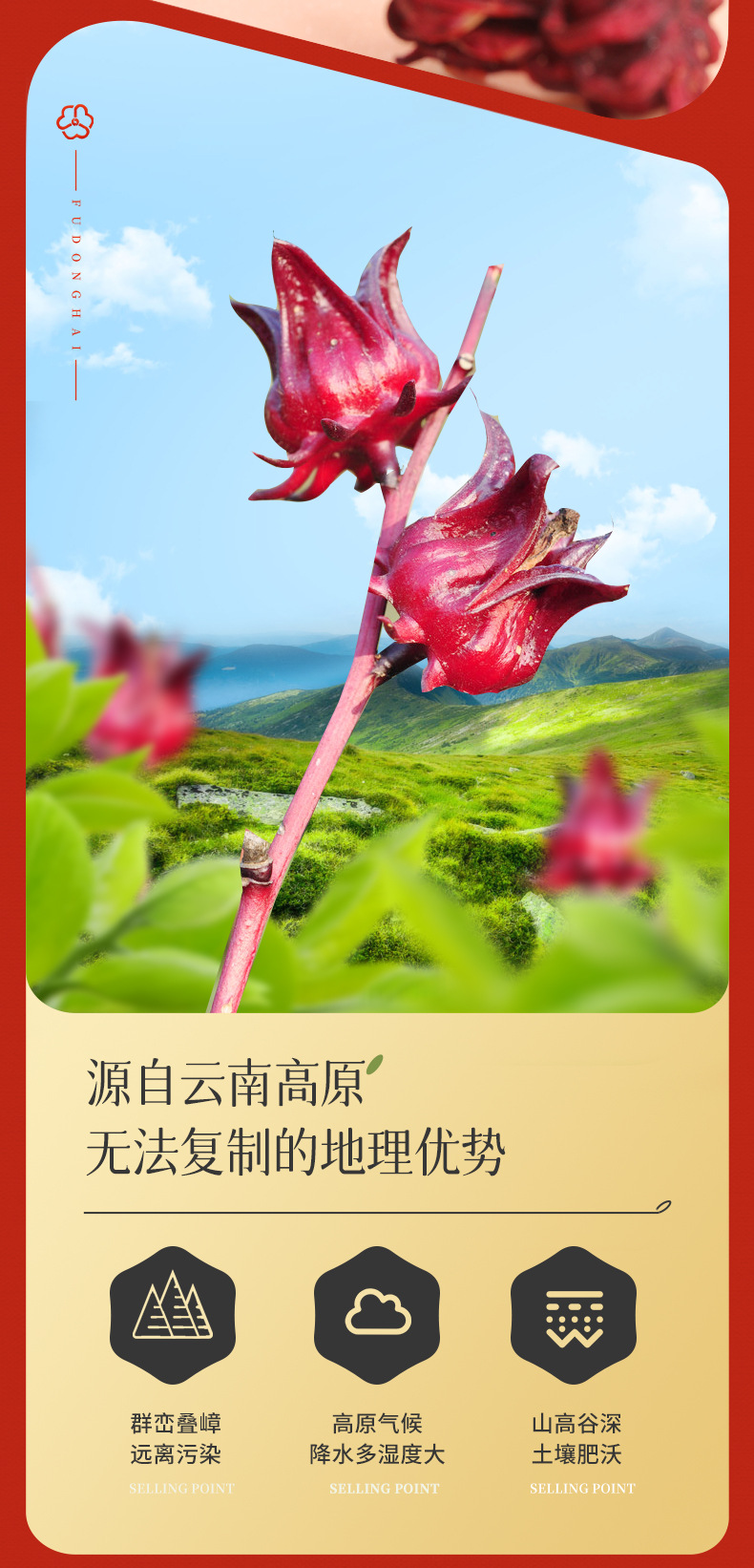 云南洛神花詳情頁(yè)20211215 (4).jpg