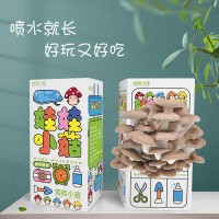 平菇菌包菌種食用袋裝菌蘑菇種植菌包陽(yáng)臺(tái)趣味盒裝diy兒童禮物