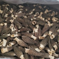 田源 閩蘑頭 羊肚菌干貨產地源頭直供 供應酒店食材 一斤包郵