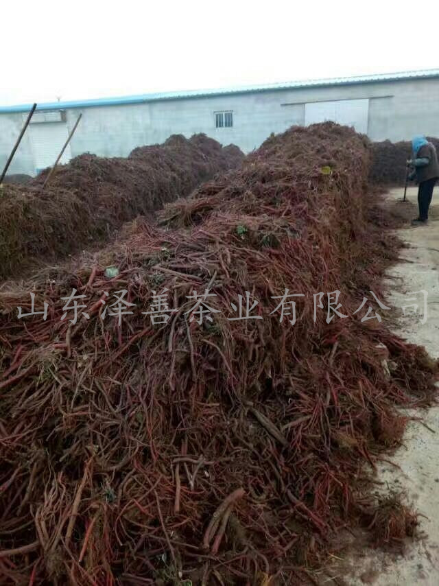 mmexport1493001138174_副本