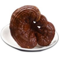 赤靈芝 東北新貨整枝靈芝產(chǎn)地紅靈芝干品鮮美可泡酒煲湯量大從優(yōu)