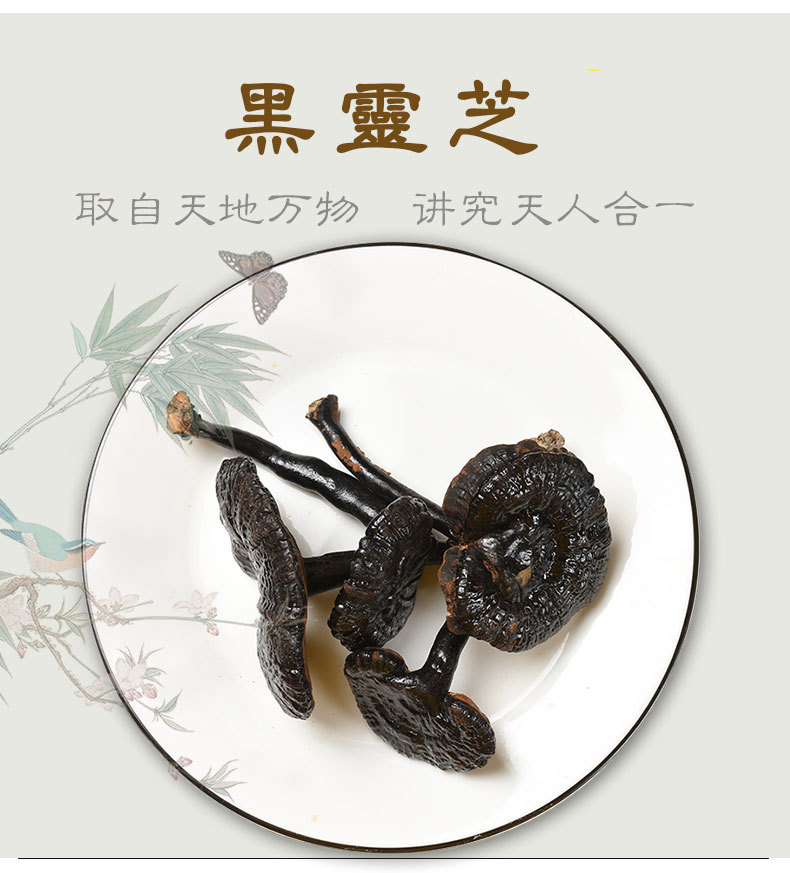 天音閣黑靈芝_05.jpg