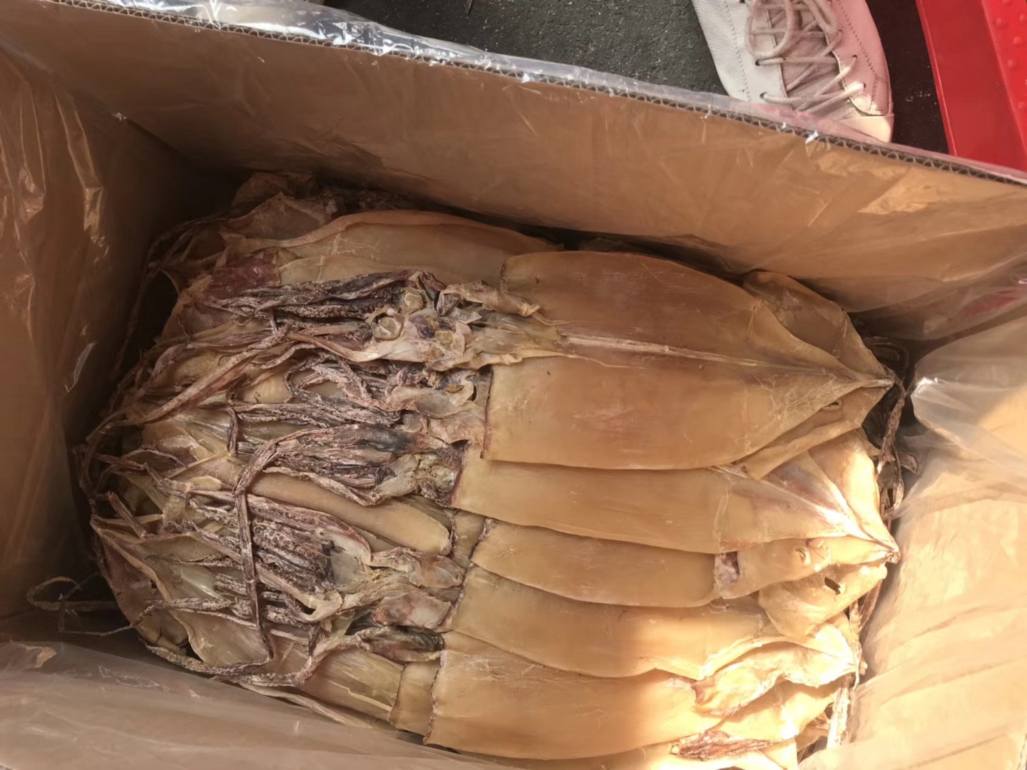 QQ圖片20181109112642