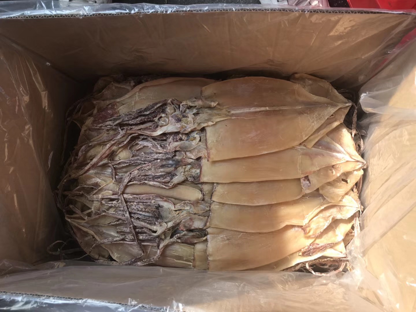 QQ圖片20181109112658