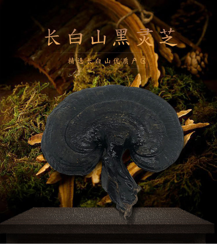 黑靈芝-詳情_(kāi)01
