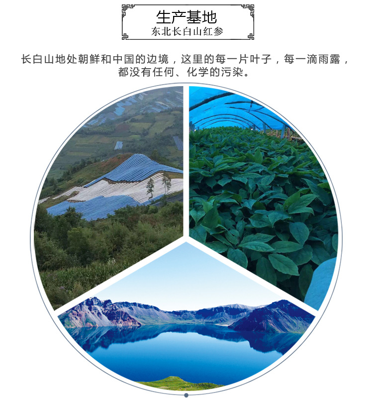紅參整支巴巴_07