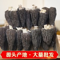 云南產(chǎn)地批發(fā)菌湯包羊肚菌干貨250g 大號剪柄食用菌人工酒店食材