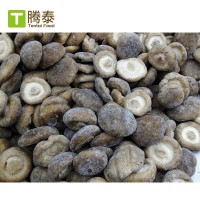 大批量現貨廠家直供808速凍香菇圓 冷凍香菇絲